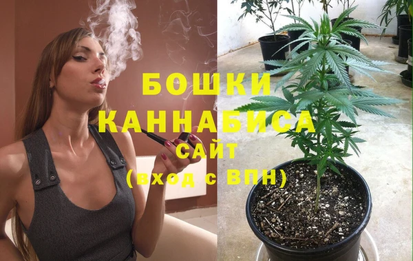 МДПВ Бородино
