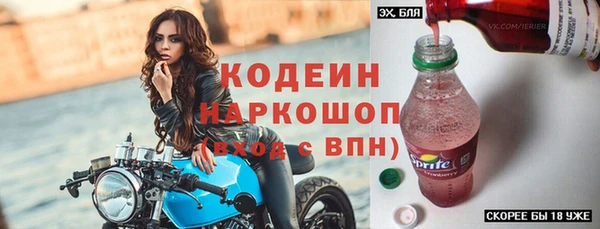 МДПВ Бородино