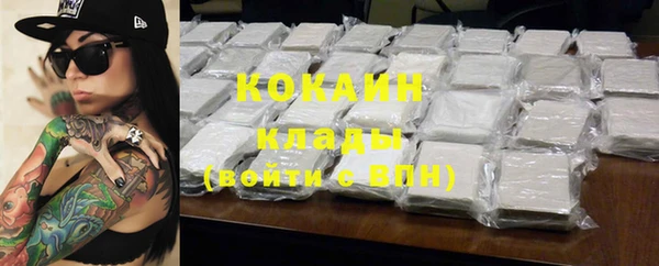 МДПВ Бородино