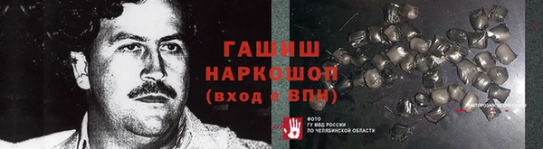 МДПВ Бородино