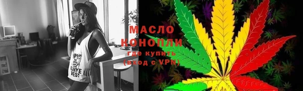 МДПВ Бородино