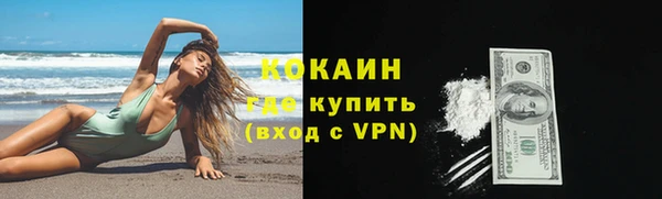 спиды Богданович