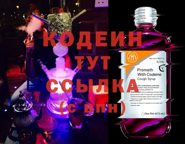 МДПВ Бородино