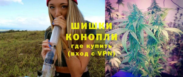 МДПВ Бородино