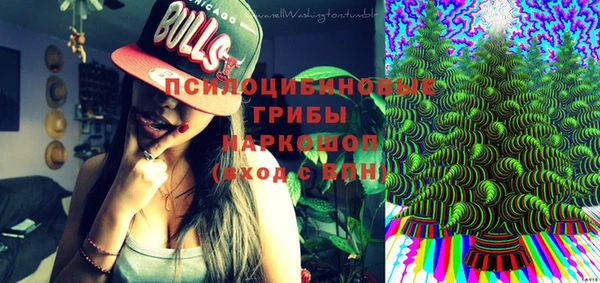 МДПВ Бородино