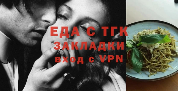 МДПВ Бородино