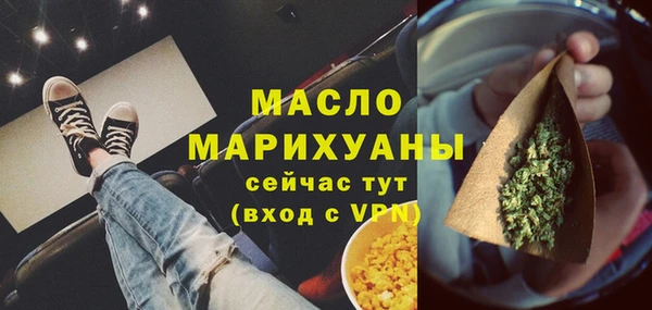 МДПВ Бородино
