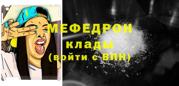 МДПВ Бородино