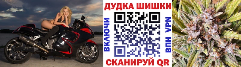 купить наркоту  Котельники  mega   Конопля ГИДРОПОН 